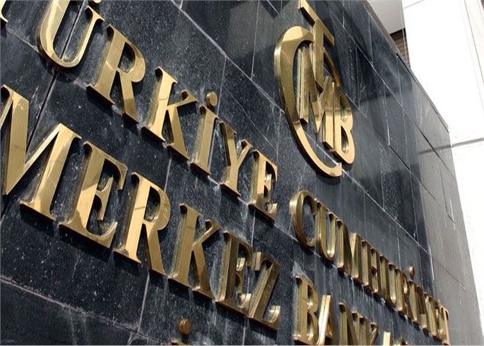 YETKİLİ MÜESSESELER ( DÖVİZ BÜROLARI )e